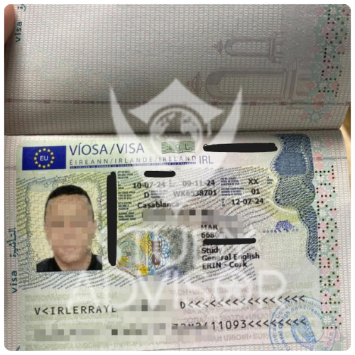 Passeport Youssef